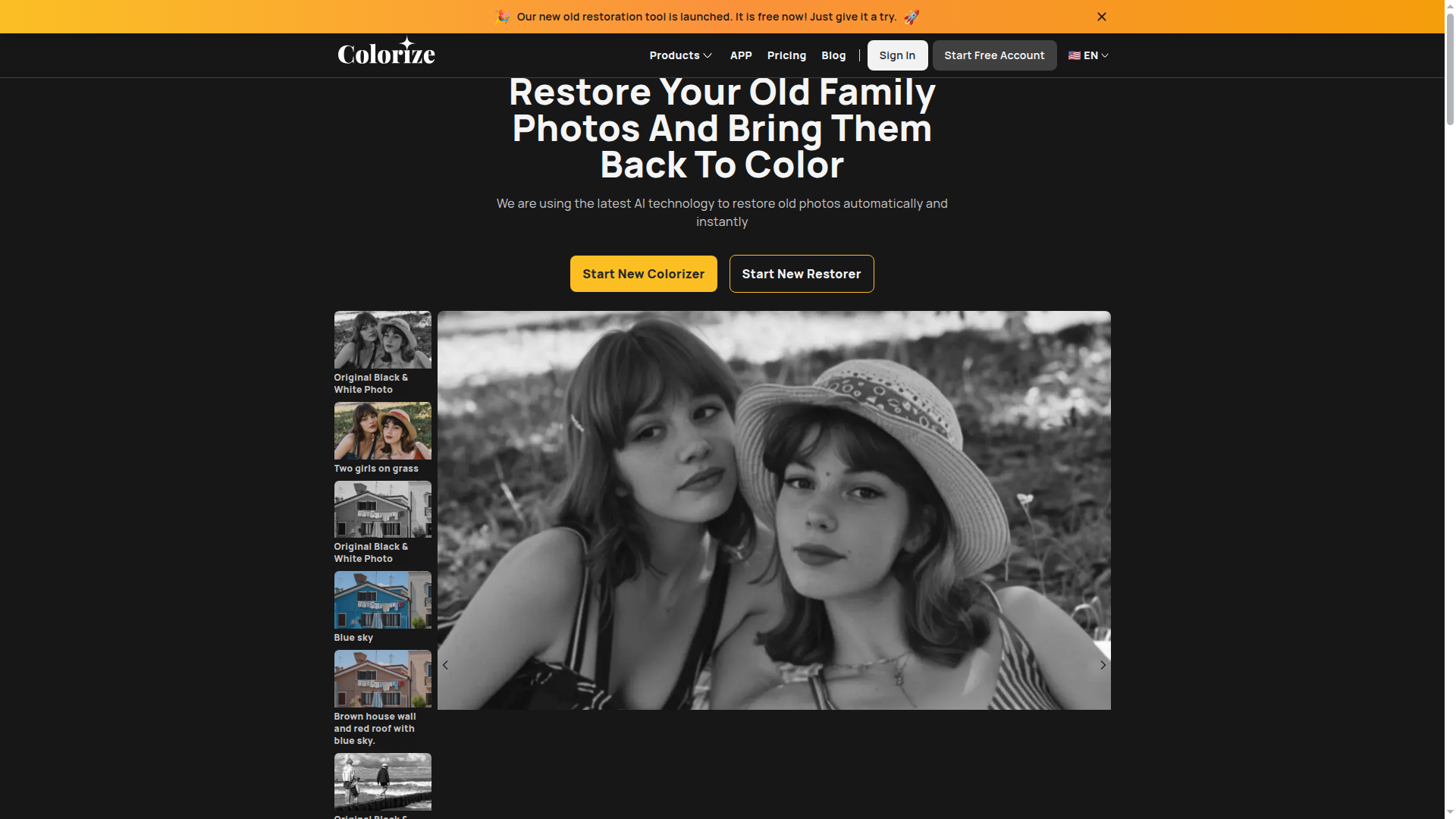 Image Colorizer